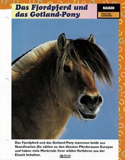 El caballo del fiordo y el pony de Gotland (ponis y caballos pequeños) - Tarjeta informativa