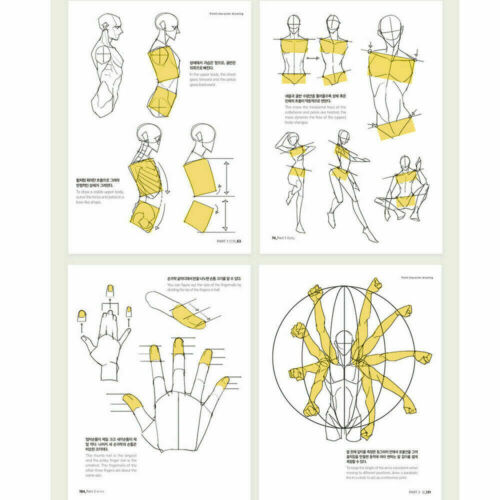 Point Character Drawing by TACO / Lezhin Comics Human Body Drawing Guide /Korean - Picture 2 of 4