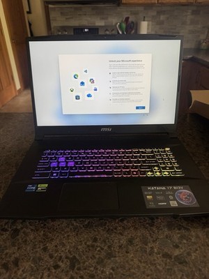 MSI Katana 17 B13V Gaming Laptop 17.3''