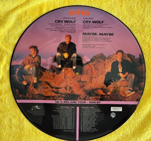 a-ha Cry Wolf 12" Picture Disc W8500TP Ltd Ed w/ Maybe Maybe PVC Sleeve EX - Picture 3 of 6