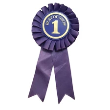 “Best Of Show #1” Blue Ribbon For Cabbage Patch Doll Pony Horse Vtg