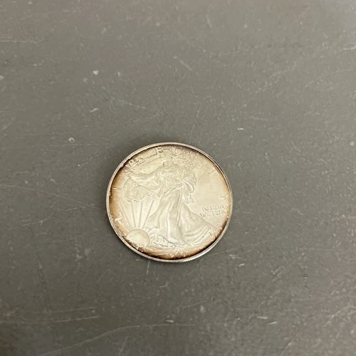 2003 U.S. American Eagle Walking Liberty 1oz Fine Silver Dollar Coin