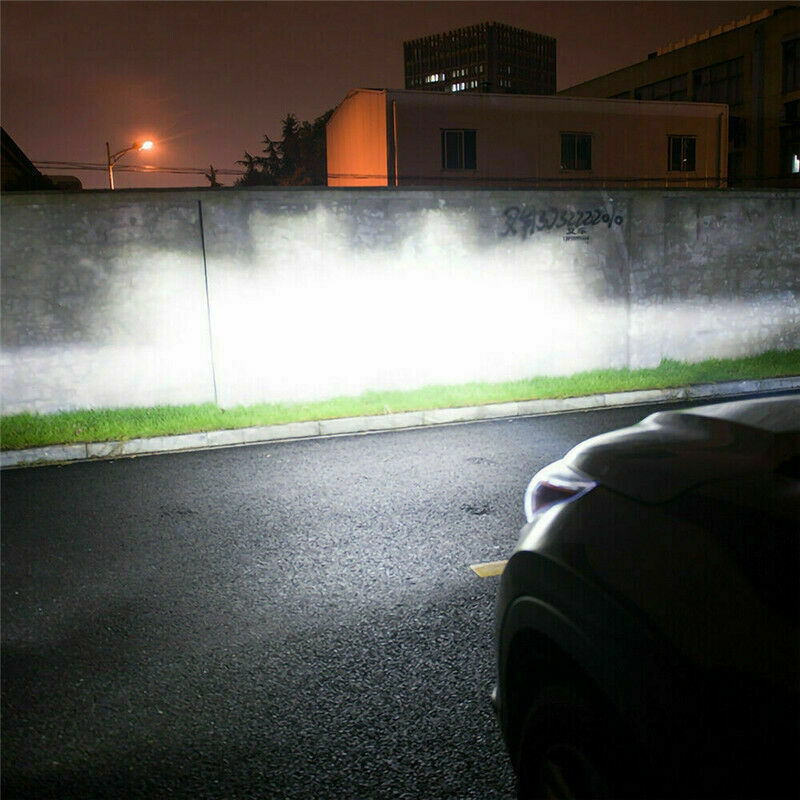 Picture 11 of 11