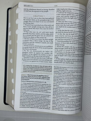KJV Großdruck Studie Bibel zweifarbig schwarz/burgundfarben Vollnarbenleder INDEX 11P - Bild 5 von 13