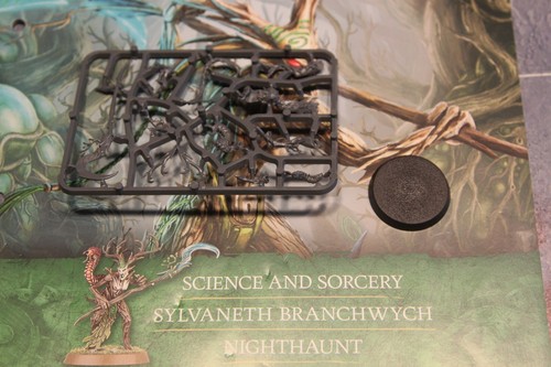 WARHAMMER AGE OF SIGMAR - AOS - SYLVANETH BRANCHWYCH - NEW ON SPRUES - Picture 4 of 6