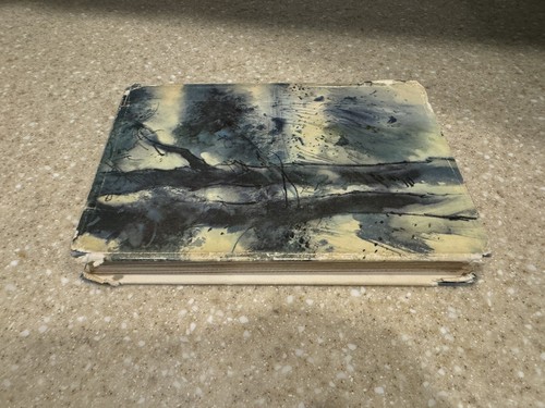 The Witch of Blackbird Pond - Elizabeth George Speare 1958 1st Edition HC $3.00 - Picture 9 of 10