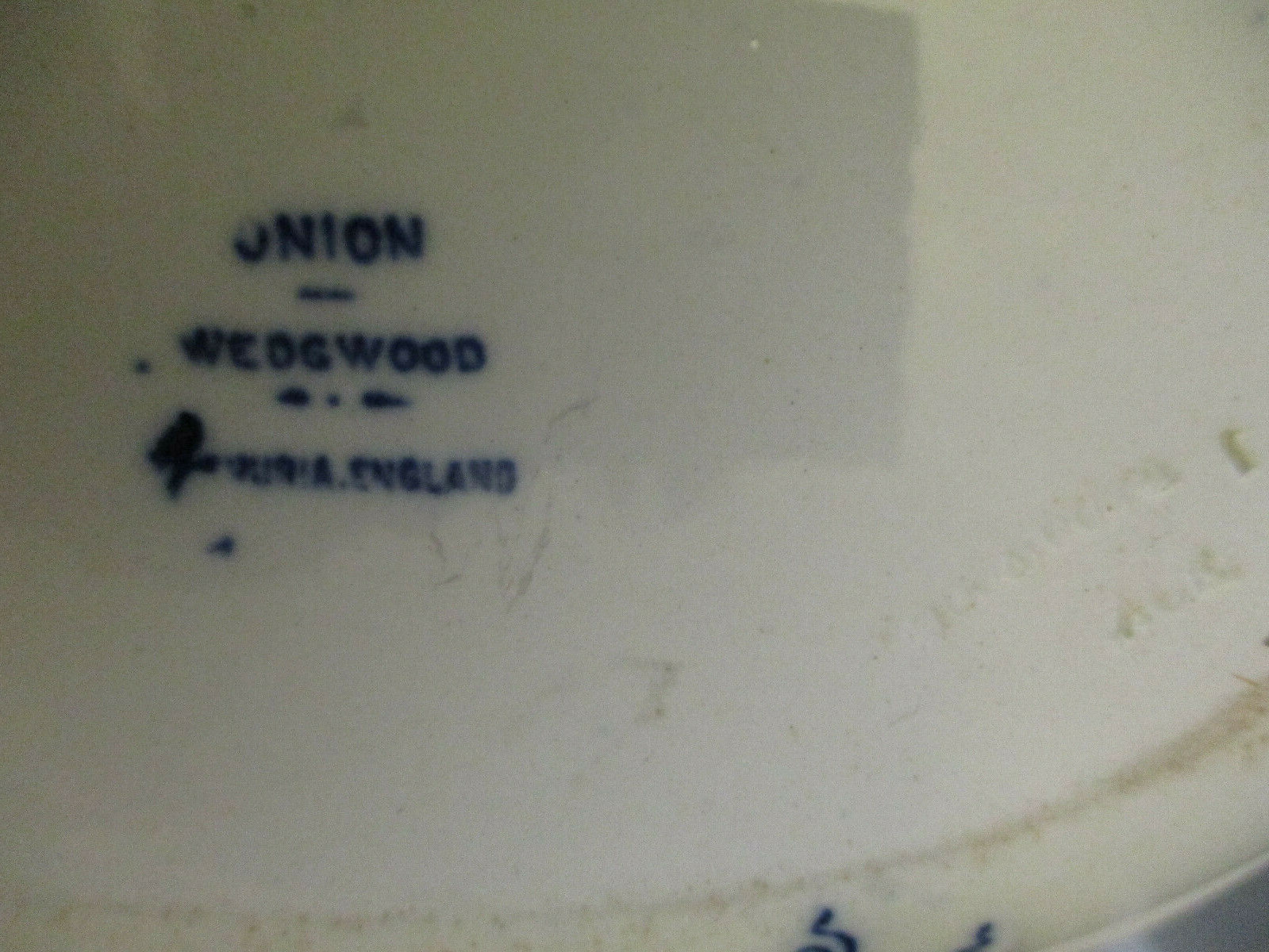 Picture 10 of 10
