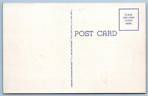1940's WWII TANKS IN ACTION CAMP LEJEUNE MARINE BASE NEW RIVER NC POSTCARD - Picture 2 of 2