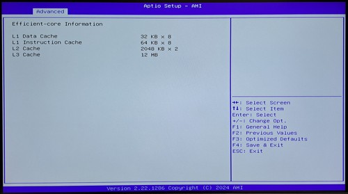 ERYING 12 Core 4,50Ghz Intel 13a Generazione "Raptor Lake" ES 0000 4P+8E DDR5 M-ATX - Foto 9 di 12