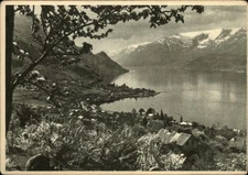 Norge ~ Norway ~ Lofthus Hardanger ~ postcard sku311