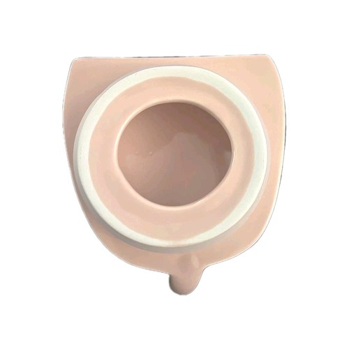 Rae Dunn Pink “OINK” Pig Cookie Jar Canister Country Farmhouse Pig Collector - Picture 3 of 4