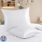 RUDONG M 2 Pack Zippered Satin Toddler Pillowcases 13x18 Inch - Silky Soft To