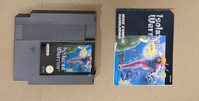 Nintendo NES Pack Isolated Warrior
