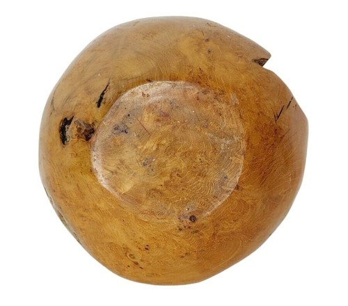 Vintage Natural Polished Teak Root Rustic Bowl Raw Chunky Painted Rim 11.5" - Picture 9 of 14