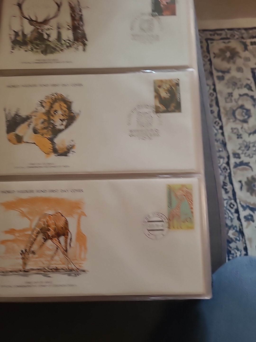 Picture 8 of 24