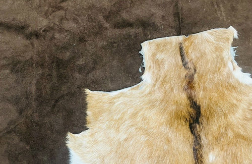 Goat Hide Pelt, Nordic Taxidermy, Spotted Natural Fur, Scandinavian Rug, 3x2 ft - Picture 9 of 9