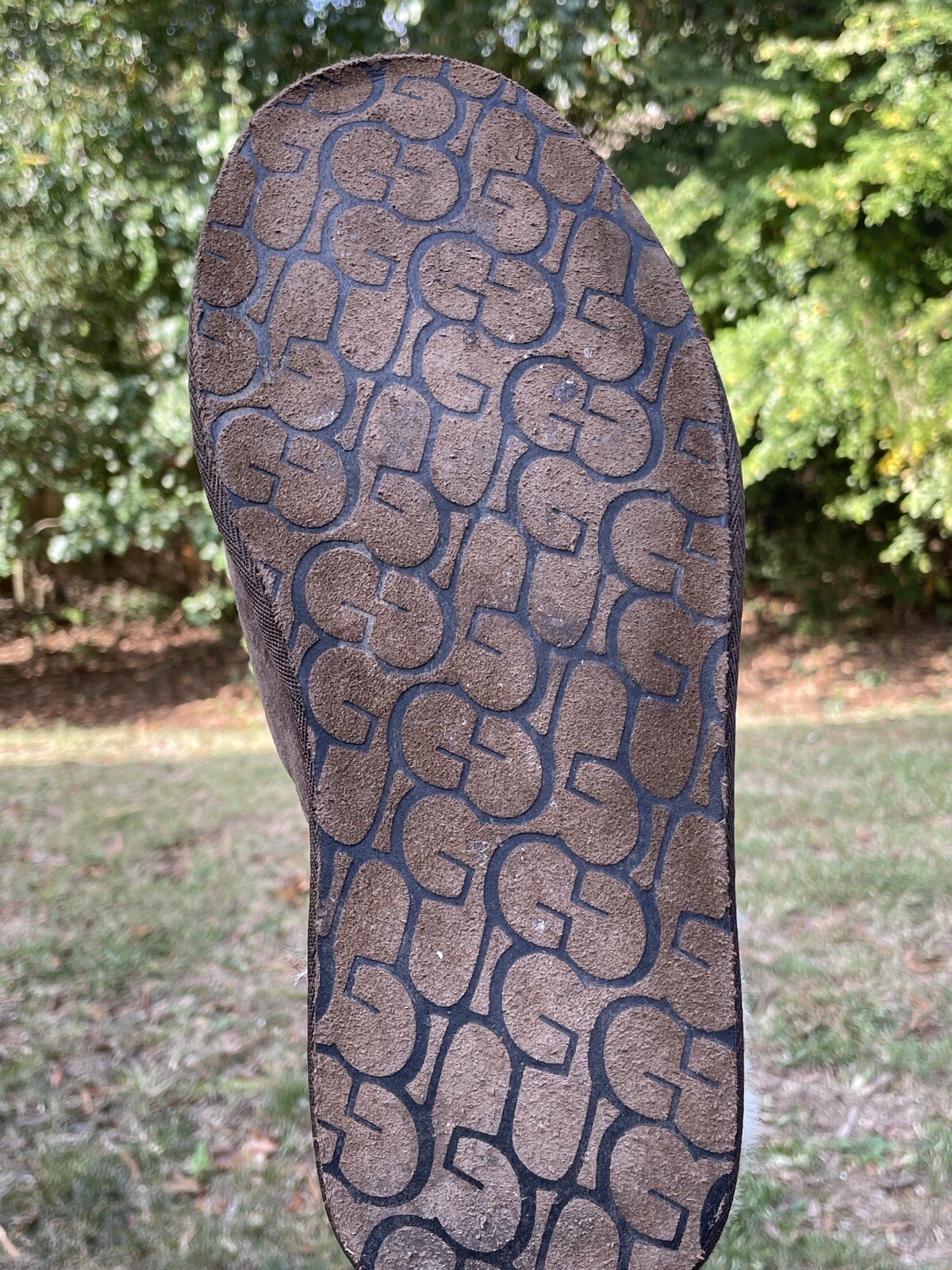 Picture 9 of 12
