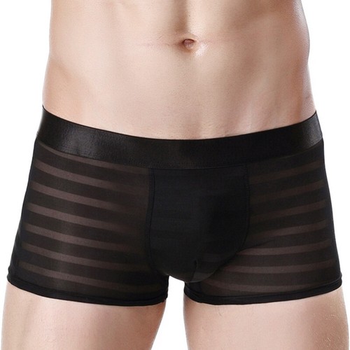 Sexy Mens See-through Boxer Briefs Sheer Mesh Pouch Underwear Panties Lingerie✔ - Bild 19 von 21