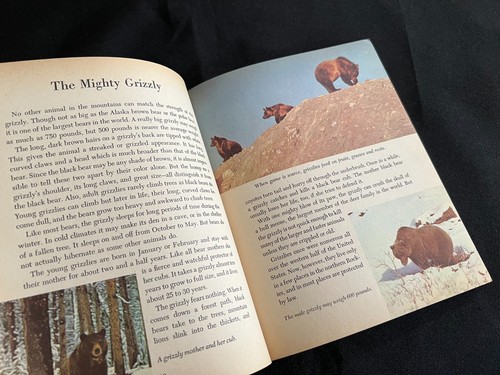 The Golden Library of Knowledge Walt Disney's WILDLIFE OF THE WEST Circa 1958 - Imagen 7 de 12