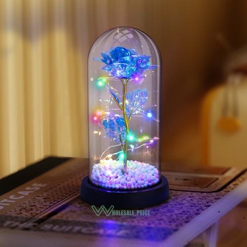 Enchanted Rose Flower Forever In Glass Dome LED Light Valentine's Day Gift Decor - Picture 181 of 278