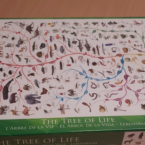 Eurographics The Tree of Life 1000 Piece Jigsaw puzzle Life Forms Evolution USA - Picture 4 of 4