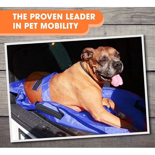 Anti-biss Haustiertrage Foldable Haustier Hund Tiertrage Trage Nylon 120*74cm - Bild 9 von 11