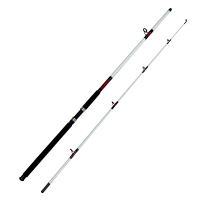 15-30 lb. 10 ft. Surf Rod - 2pc. Saltwater Fishing - White Beast 