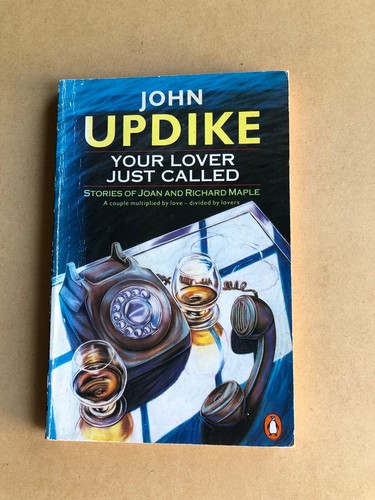 John Updike 3 Book set Biography Novelist Literature Poet Critic Literary - Picture 5 of 14