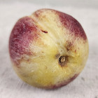 Early Vintage Italy Alabaster Stone Fruit Wood Stem White Peach Cottage Core MCM