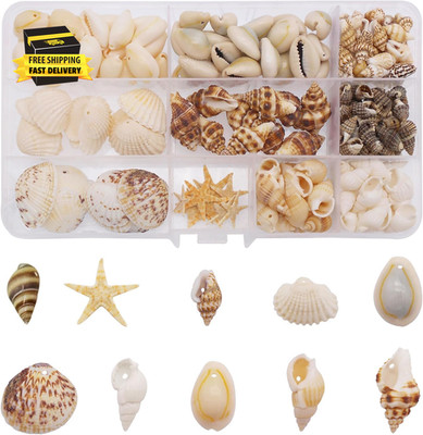 170Pcs/Box 10 Styles Sea Shell Cowrie Conch Starfish Ocean Beach Spiral Seashell