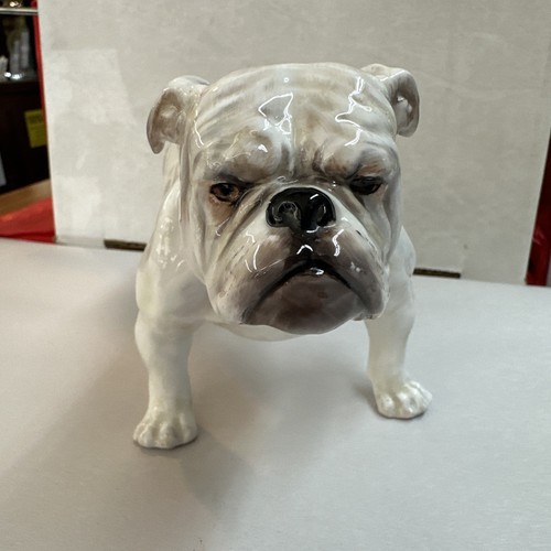 HN1073 -Royal Doulton White, Standing Bulldog - Picture 1 of 8