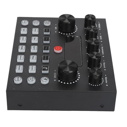 Live Sound Card Professional Reverb Effects Adjustable Bass Treble Dual Mic P FY - Afbeelding 6 van 23