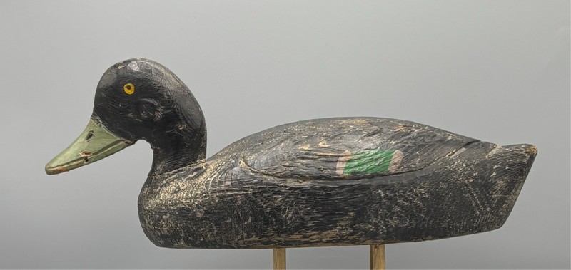 QUEBEC BLACK DUCK DECOY BY ARTHUR "PIT" BOUCHER (1889-1978) **ORIGINAL PAINT**