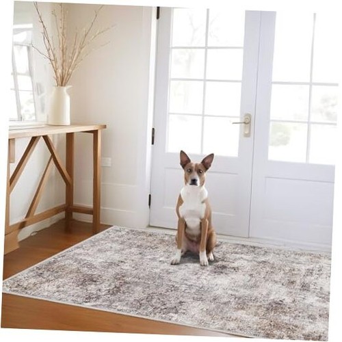 Abstract Washable Rug: Modern Non Slip Area Rug Soft Carpet 3x5 Brick Gray