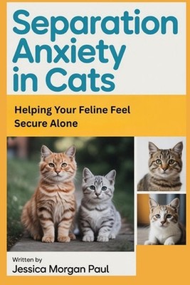 Separation Anxiety in Cats: Helping Your Feline Feel Secure Alone by Jessica Mor