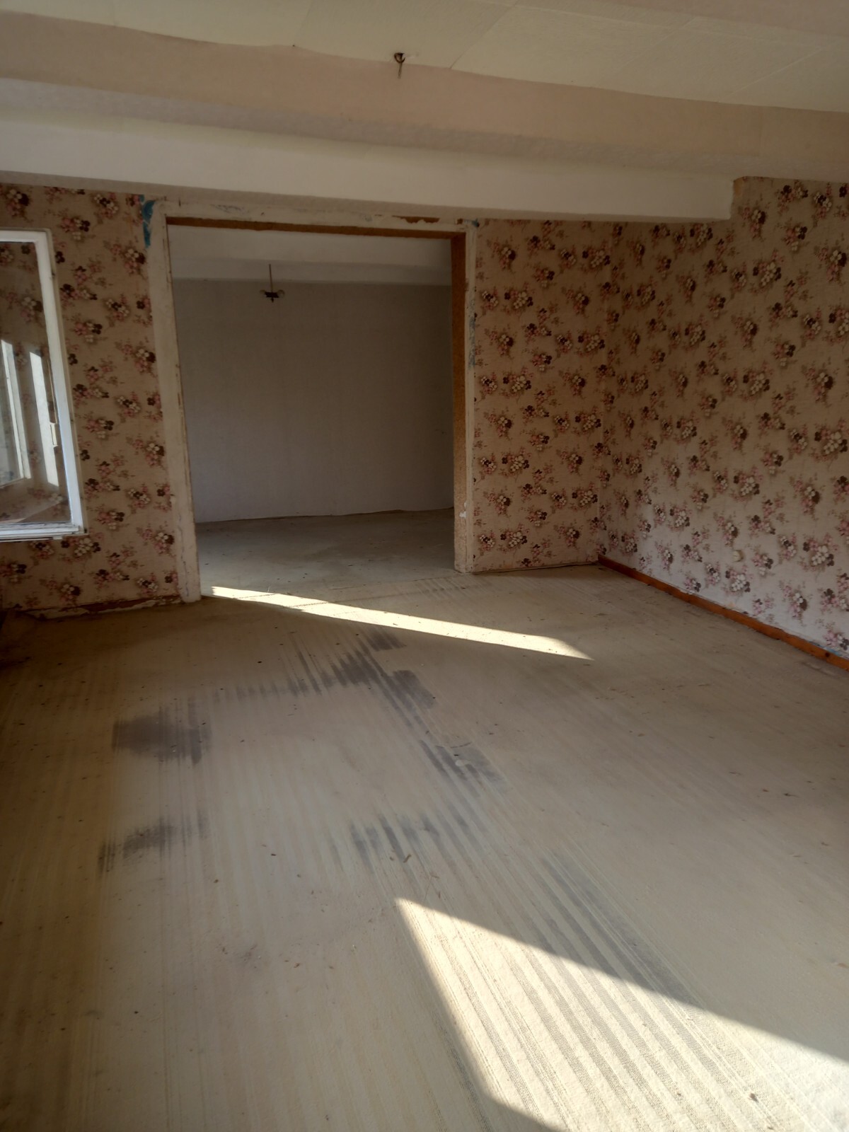 Bild 11 von 23