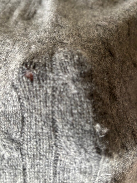 Bild 7 von 7