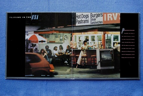LINDA RONSTADT / LP ASYLUM AS 53 085 / 1978 (D) - Picture 3 of 5