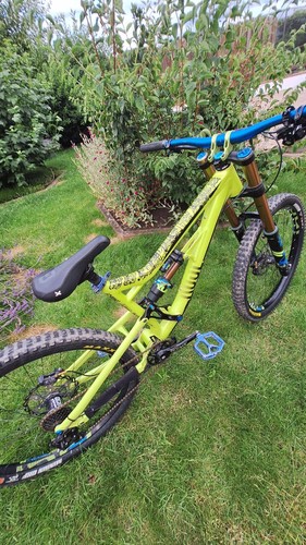 Downhill Rose Soulfire Custum - Bild 2 von 6