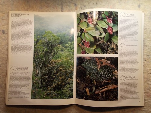 Australian Tropical Orchids by Bill Lavarack & Bruce Gray 1992 paperback - Bild 6 von 6