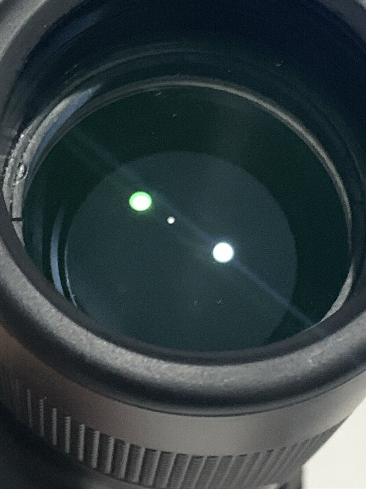Picture 6 of 14