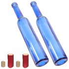  2pcs Glass Wine Bottles Empty Wine Bottles Empty Glass Bottles for Drinks Wine