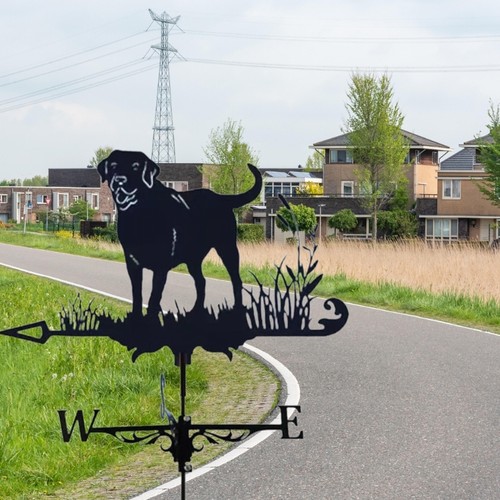 Iron Dog Weather Vane for Roofs Easy Assembly Garden Wind Direction Indicators - Picture 6 of 8
