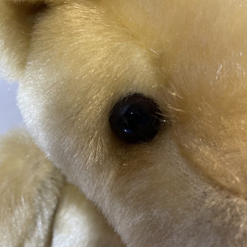 TY Yesterbears, lot of 2, (golden one w/ty tag). see pics, a170 Lot#1 - Picture 11 of 20