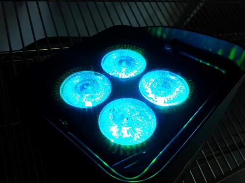 CHAUVET DJ Freedom Par Quad-4 Wireless Battery Operated LED Light - Picture 5 of 10