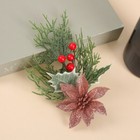 Bild 4 von 23