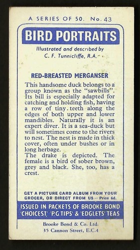 BROOKE BOND - BIRD PORTRAITS (ADDRESS) - PICK THE CARDS YOU NEED - Picture 87 of 101