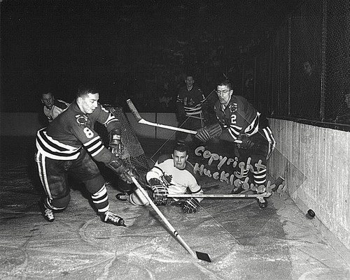 AL ARBOUR Chicago Blackhawks Photo in action HOF  (c) 1961 Stanley Cup Champs