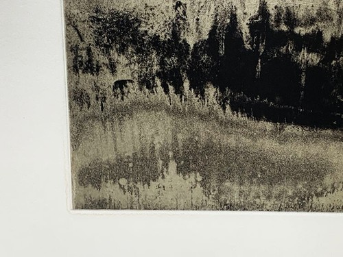 Lápiz de grabado original Anish Kapoor firmado numerado enmarcado ED30 Jacob ... - Imagen 8 de 9