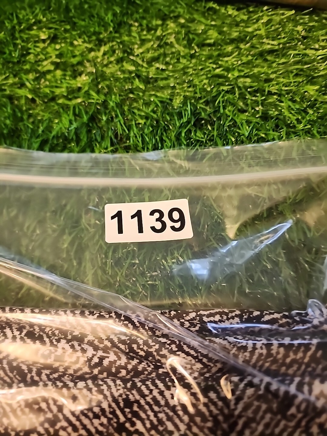 Foto 13 di 13